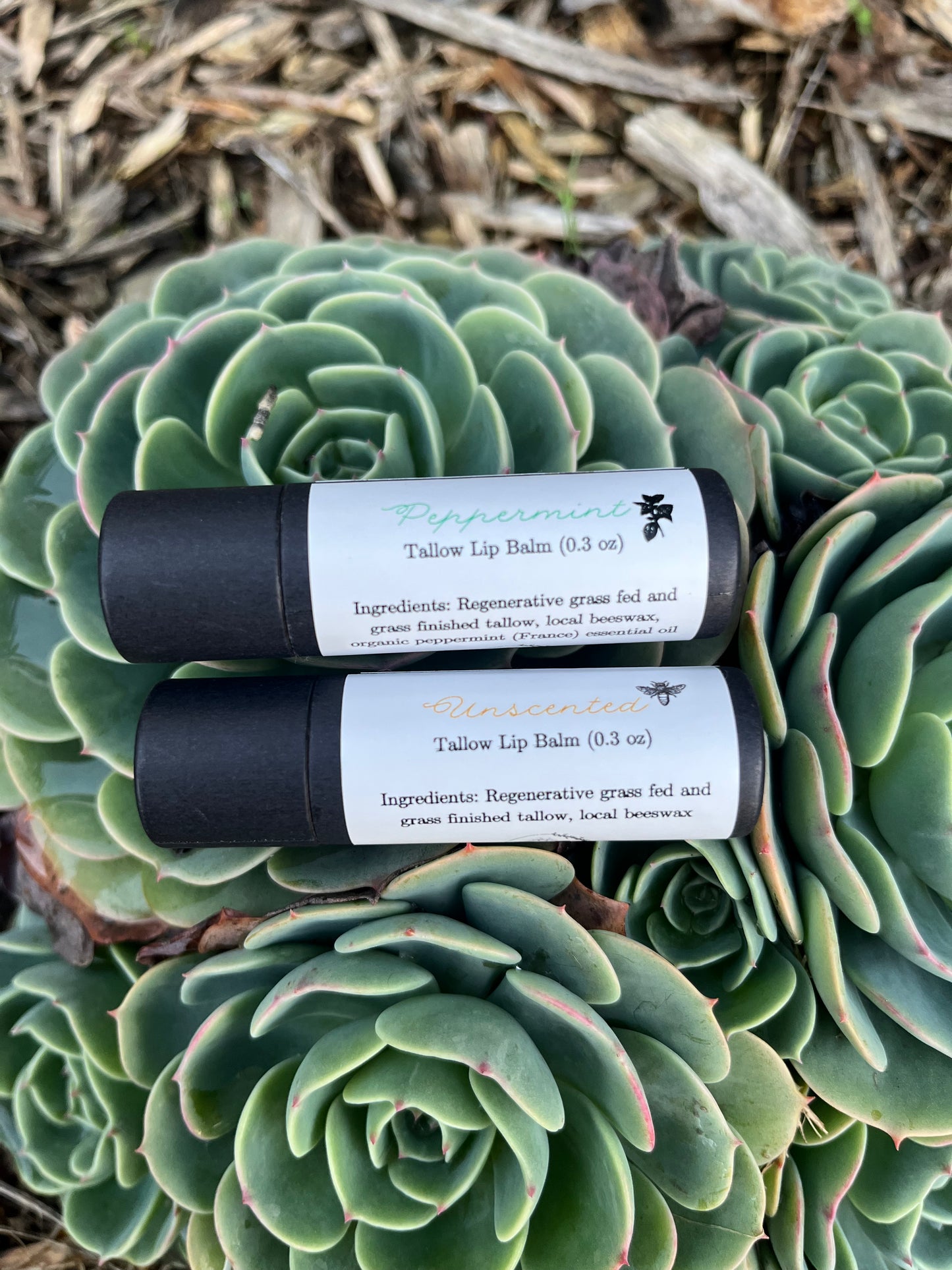 Tallow Lip Balm - 0.3 oz